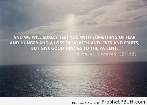 But Give Good Tidings [Quran 2-155] - Islamic Quotes About Patience (Sabr)