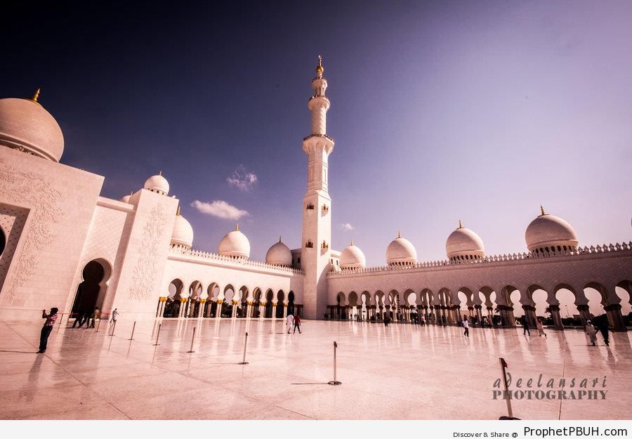 Courtyard of Sheikh Zayed Grand Mosque (Abu Dhabi, UAE) - Abu Dhabi, United Arab Emirates -Picture