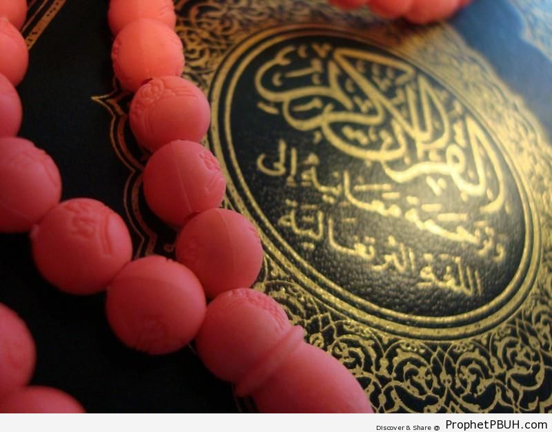 Cover of Arabic Book of Quran with Portuguese Translation - Mushaf Photos (Books of Quran) 