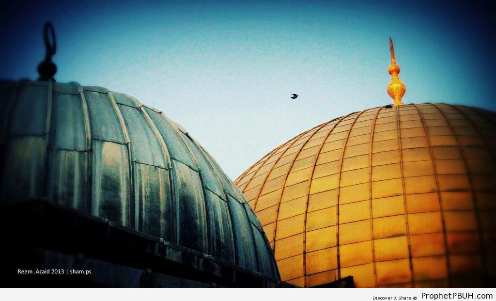 Domes of Al-Aqsa Mosque and Dome of the Rock (Jerusalem, Palestine) - Al-Aqsa Mosque (Bayt al-Muqaddas) in Jerusalem, Palestine -Picture