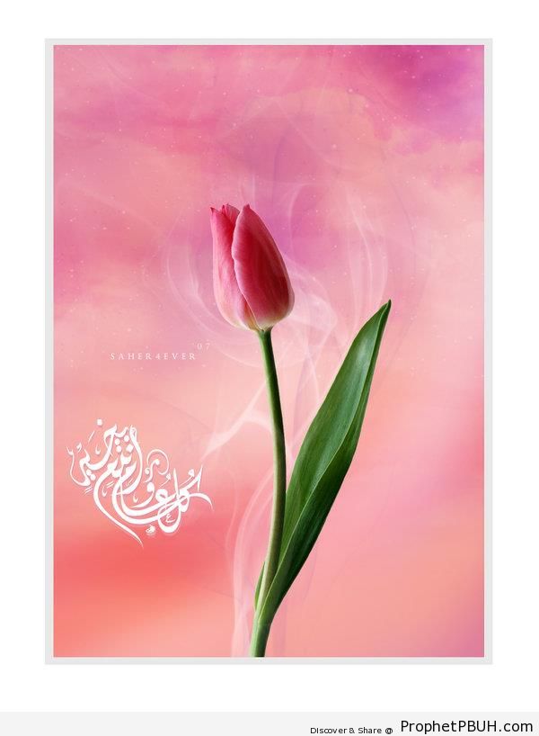 Eid Greeting Calligraphy with Flower on Pink Background - Eid Mubarak Greeting Cards, Graphics, and Wallpapers