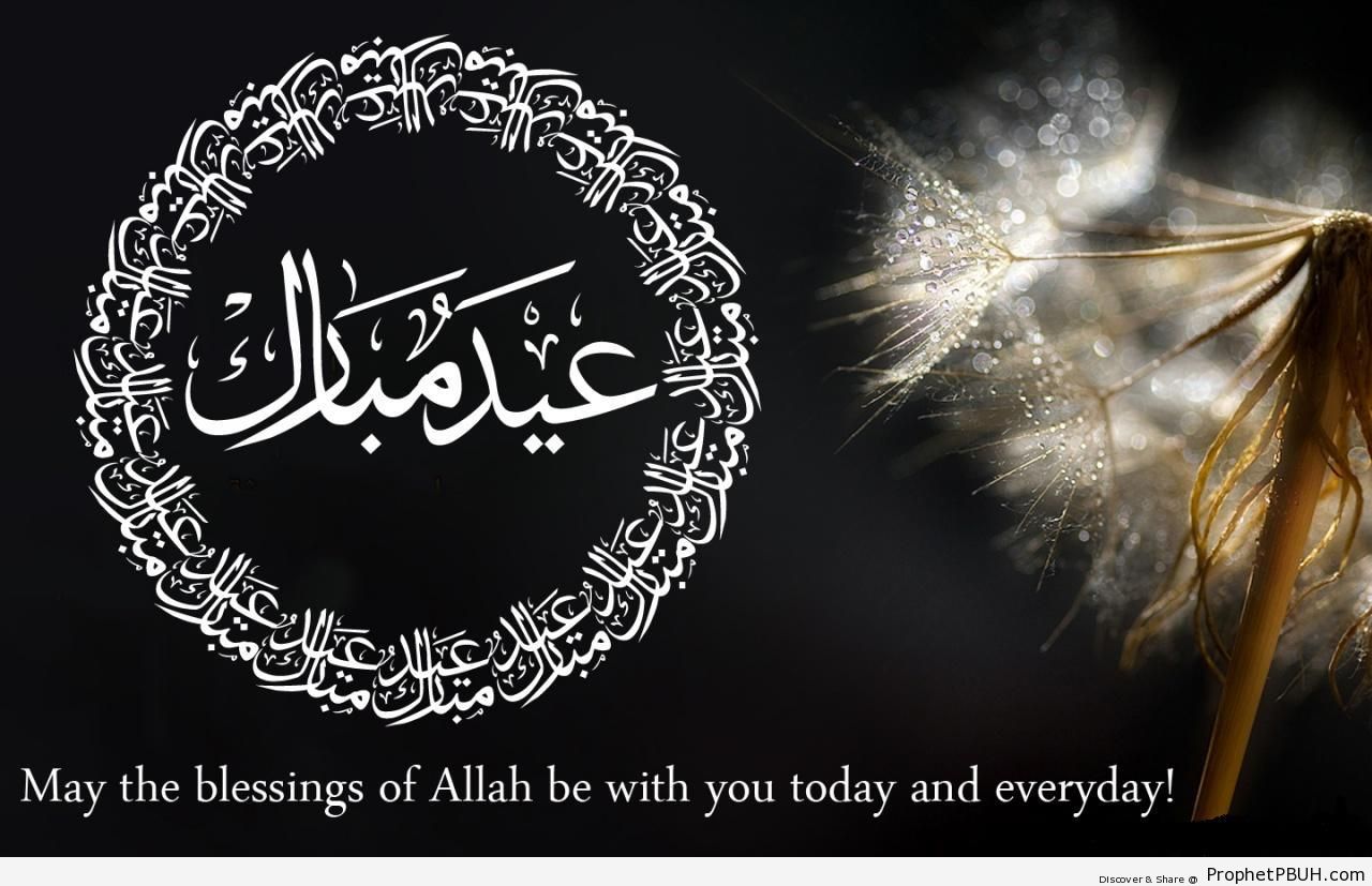 Eid Mubarak Wishes and Calligraphy On Photo of Wet Dandelion - Eid Mubarak Greeting Cards, Graphics, and Wallpapers 