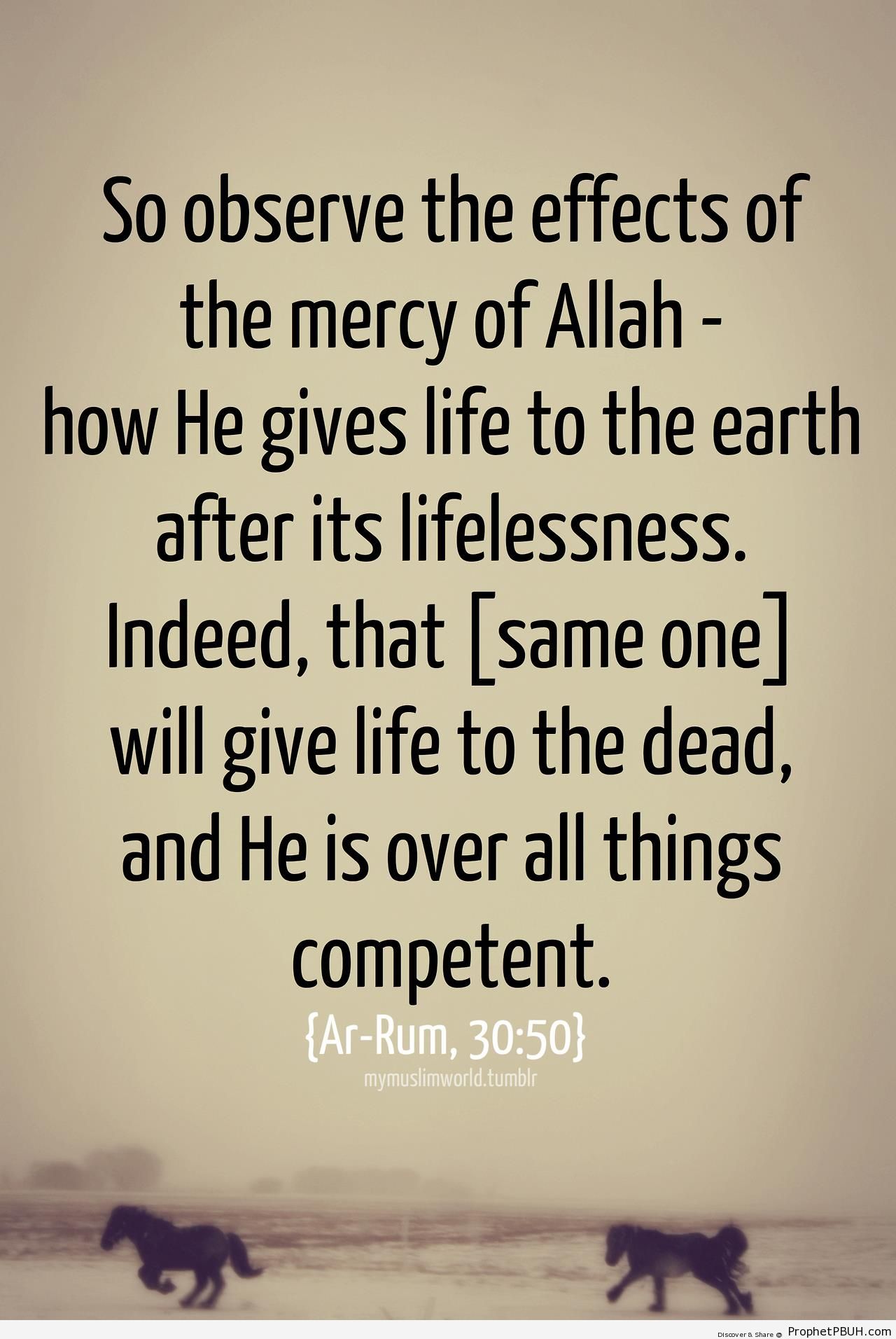 English Quran Poster- The Mercy of Allah (Quran 30-50) - Quran 30-50 