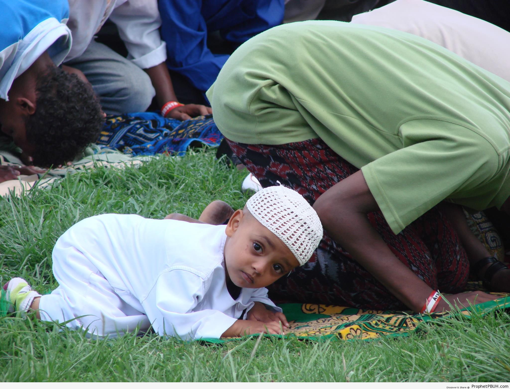 Ethiopian Muslims Praying - Photos -