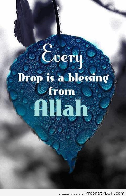 Every Drop is a Blessing - Islamic Quotes