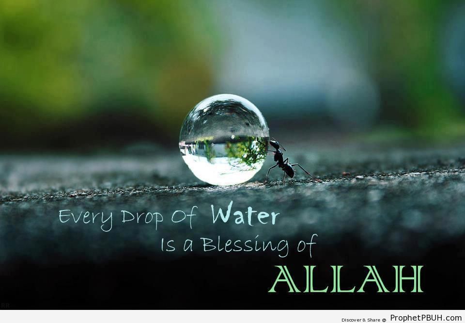 Every Drop of Water is a Blessing - Islamic Quotes About God's Kindness and Mercy 