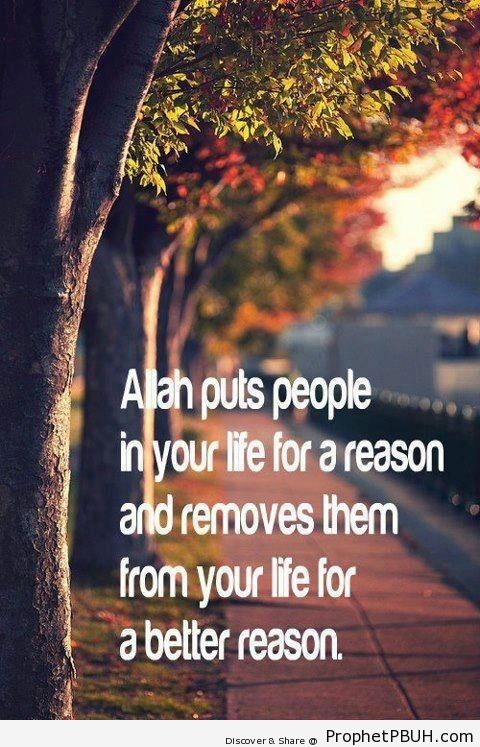 For a Reason - Islamic Quotes