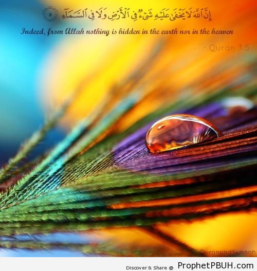 From Him nothing is hidden - Islamic Quotes About Allah's Omniscience (God's Knowledge and Awareness of Everything)