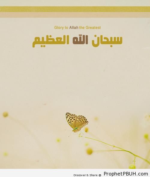 Glory to Allah on a Nature Background - Dhikr Words