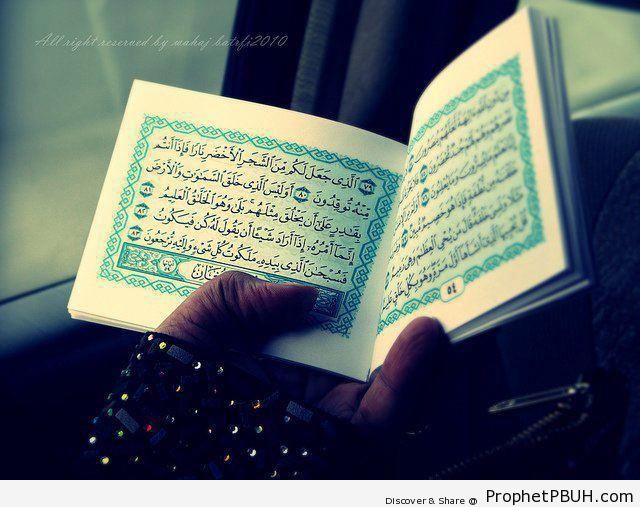 Gloved Hand Holding Little Book of Quran - Mushaf Photos (Books of Quran)
