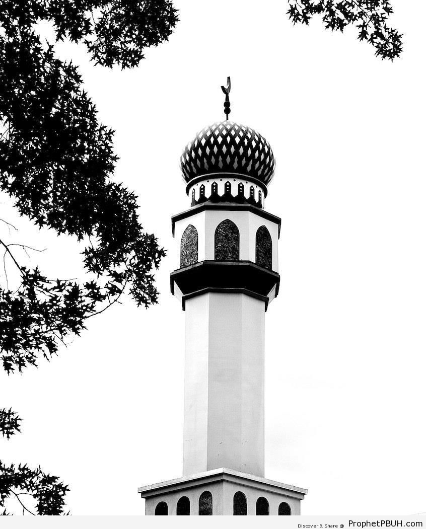 Hazrati Abu Bakr Siddique Mosque in New York, United States - Hazrati Abu Bakr Siddique Mosque in New York, United states -Picture