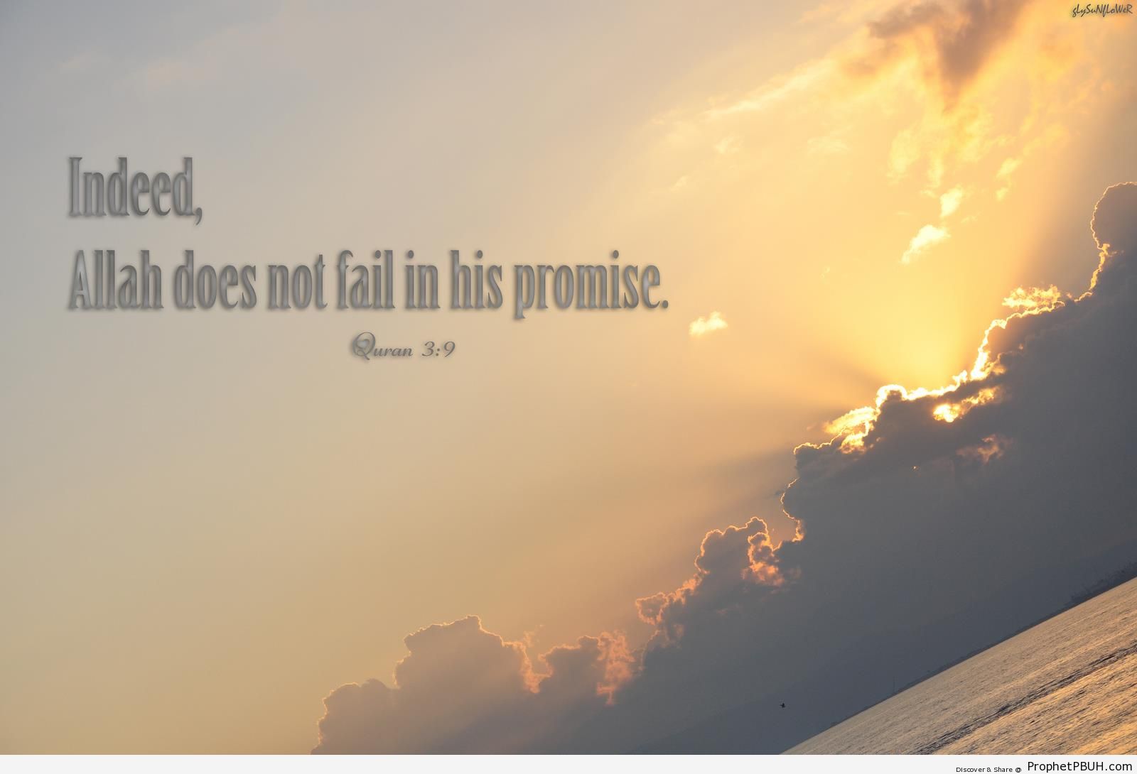 His Promise - Photos -