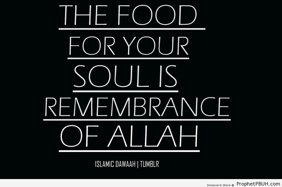 How to Feed the Soul - Islamic Quotes About Dhikr (Remembrance of Allah) 