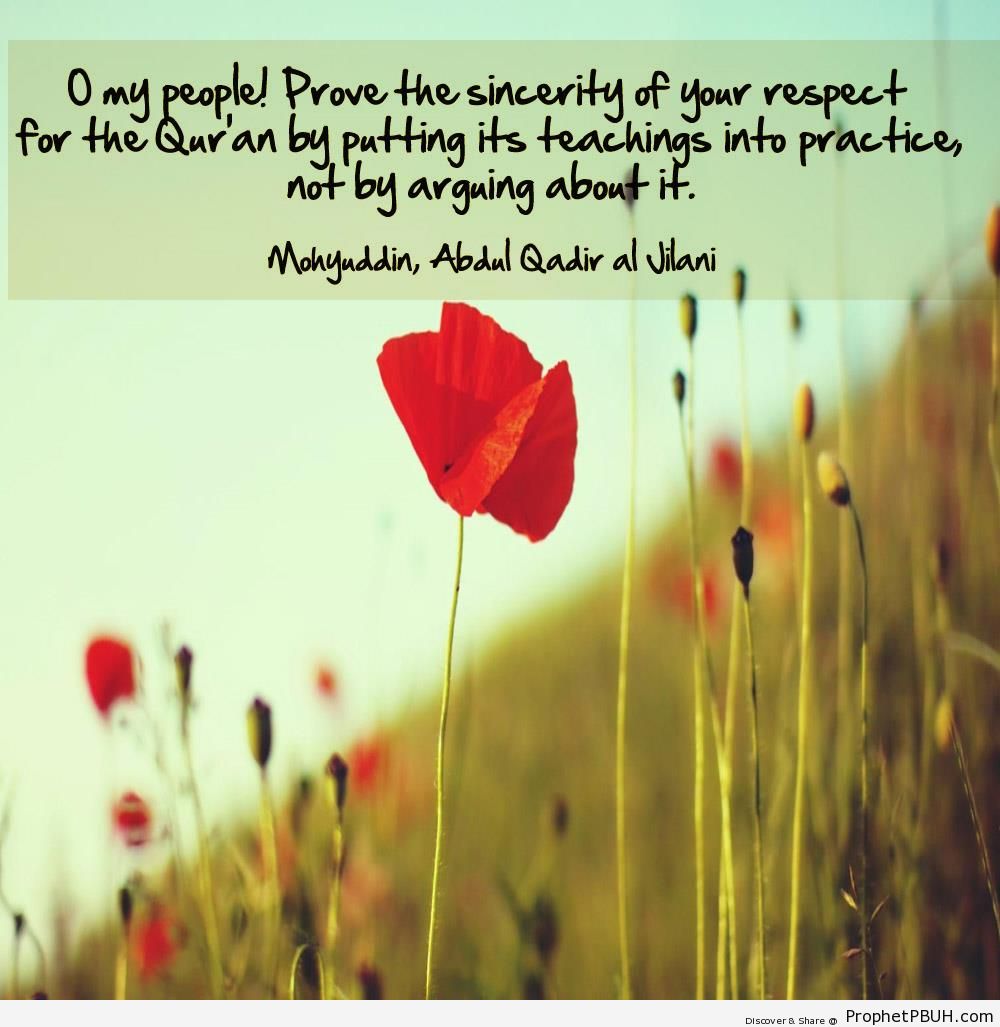 Imam Abdul Qadir Gilani Quote- Your Respect for the Quran - Imam Abdul-Qadir Gilani quotes 