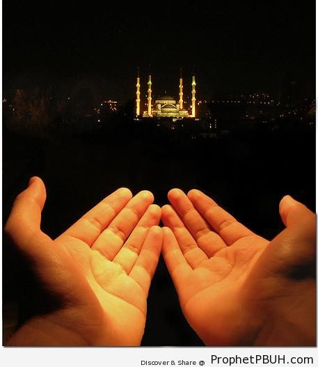 Islamic Pictures (8)