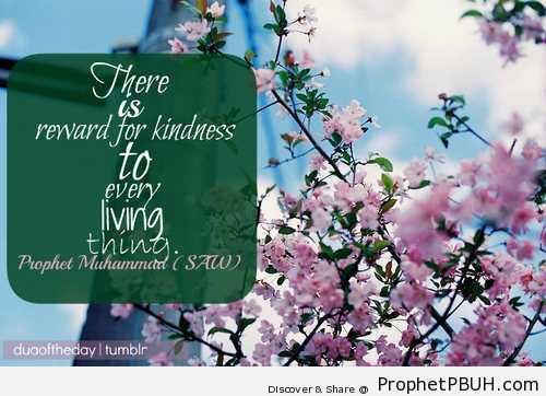 Kindness - Hadith