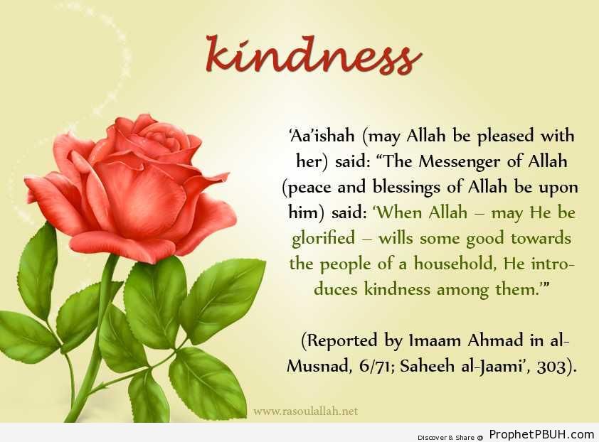 Kindness (Prophet Muhammad ï·º Quote Reported by `Aisha) - Hadith -Picture