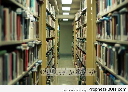 Knowledge (Quran 17-85) - Islamic Quotes