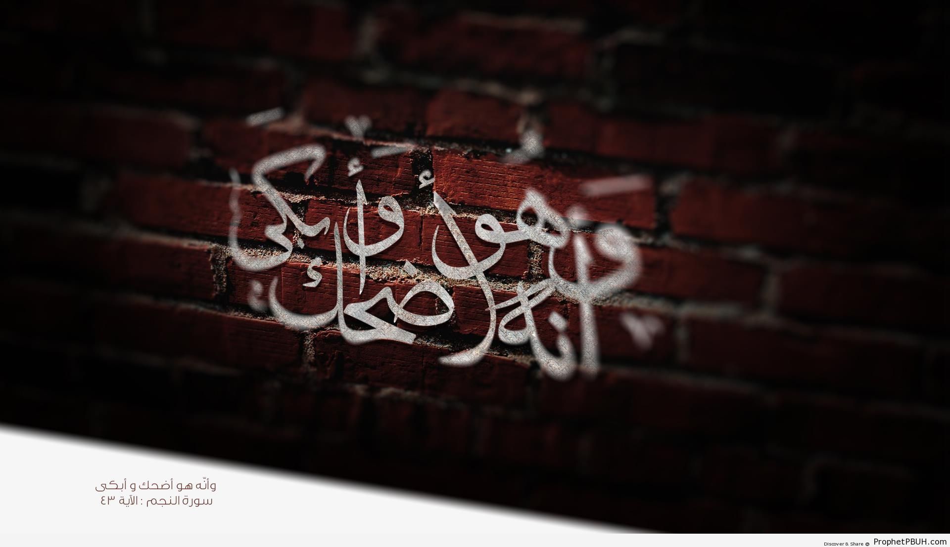 Laughter and Tears (Quran 53-43 Calligraphy) - Islamic Calligraphy and Typography 