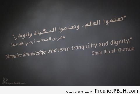 Learn Tranquility - Islamic Quotes