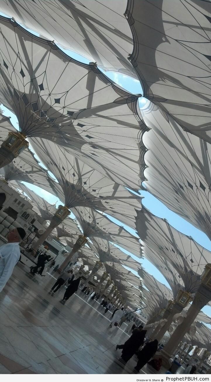Madinah Umbrellas - Al-Masjid an-Nabawi (The Prophets Mosque) in Madinah, Saudi Arabia -Picture