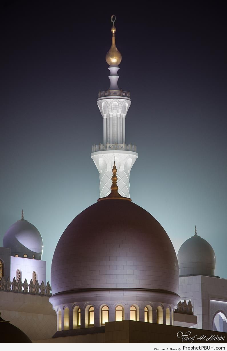 Main Dome of Sheikh Zayed Grand Mosque at Night - Abu Dhabi, United Arab Emirates -Picture
