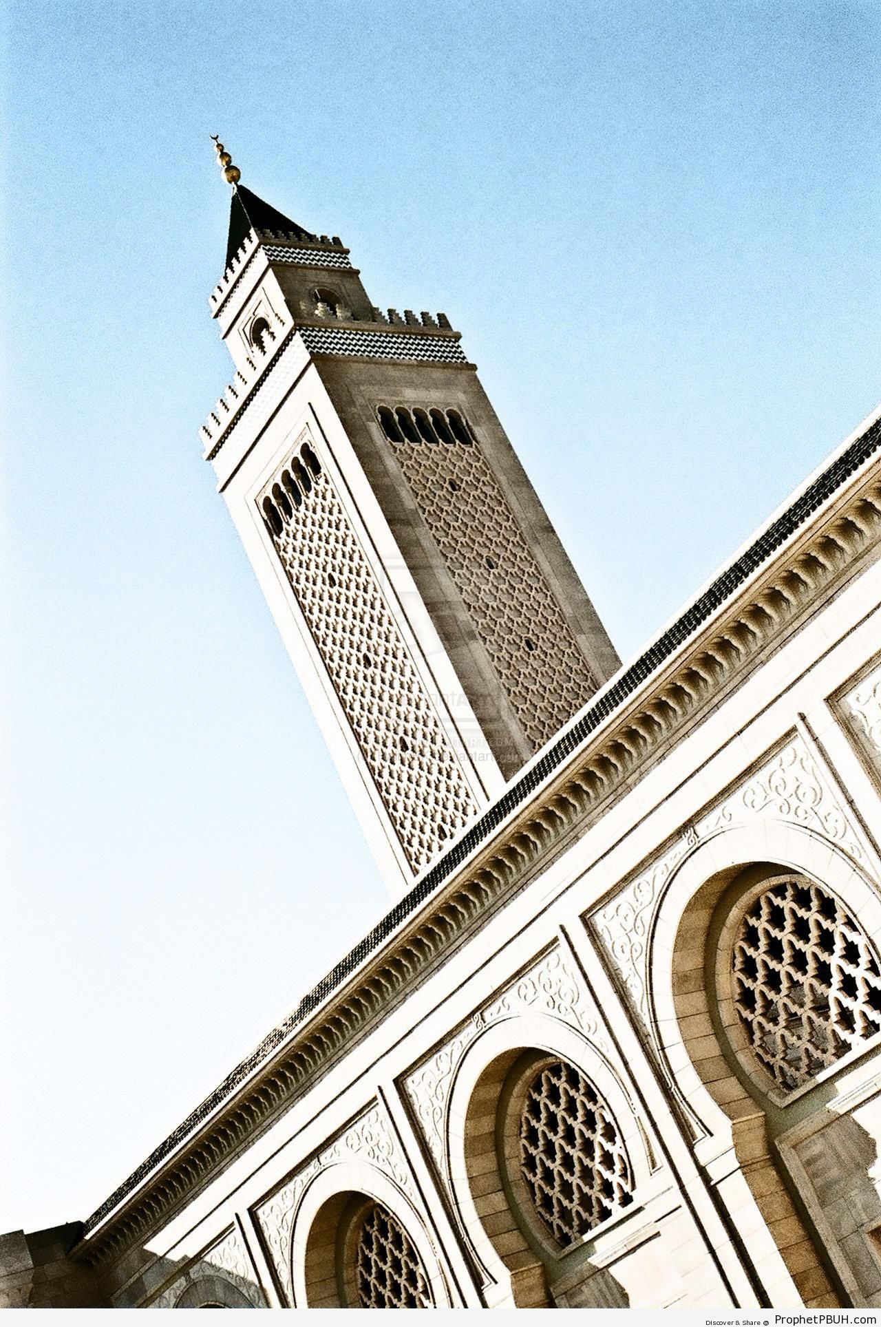 Malik ibn Anas Mosque in Tunis, Tunisia - Islamic Architecture -Picture