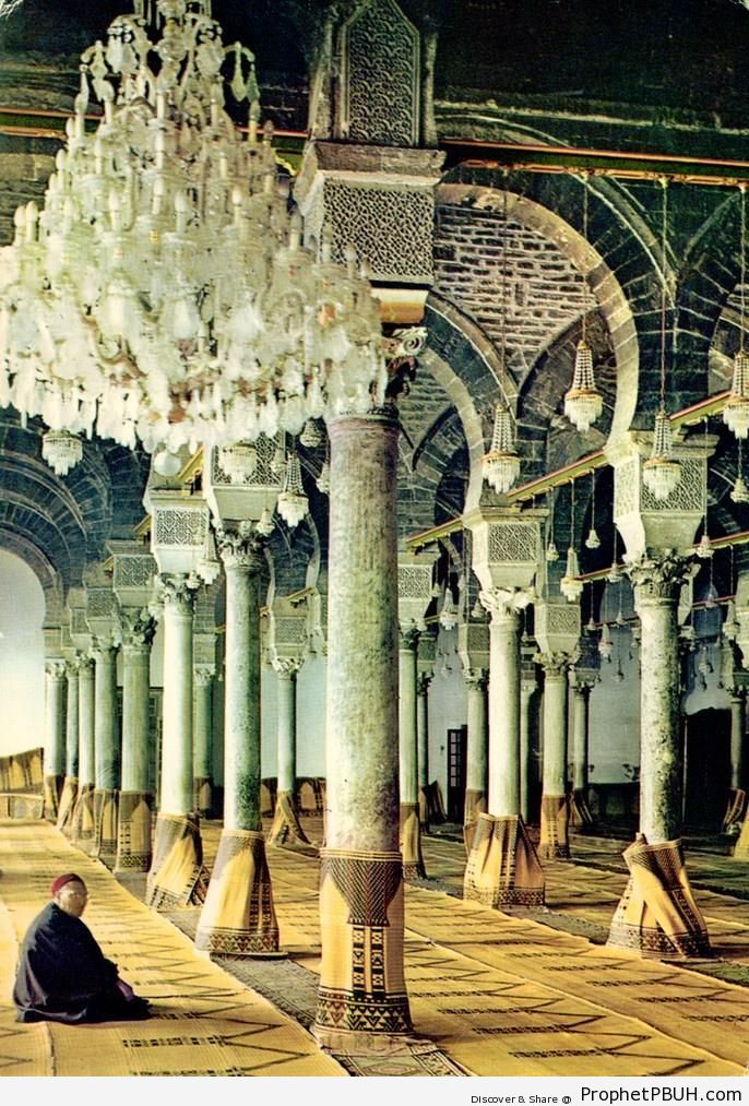 Man Sitting Inside Al-Zaytuna Mosque (Ezzitouna Mosque) in Tunis, Tunisia - Al-Zaytuna Mosque (Ezzitouna Mosque) in Tunis, Tunisia -Picture