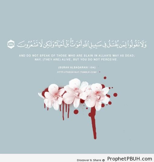 Martyrs (Quran 2-154) - Islamic Quotes