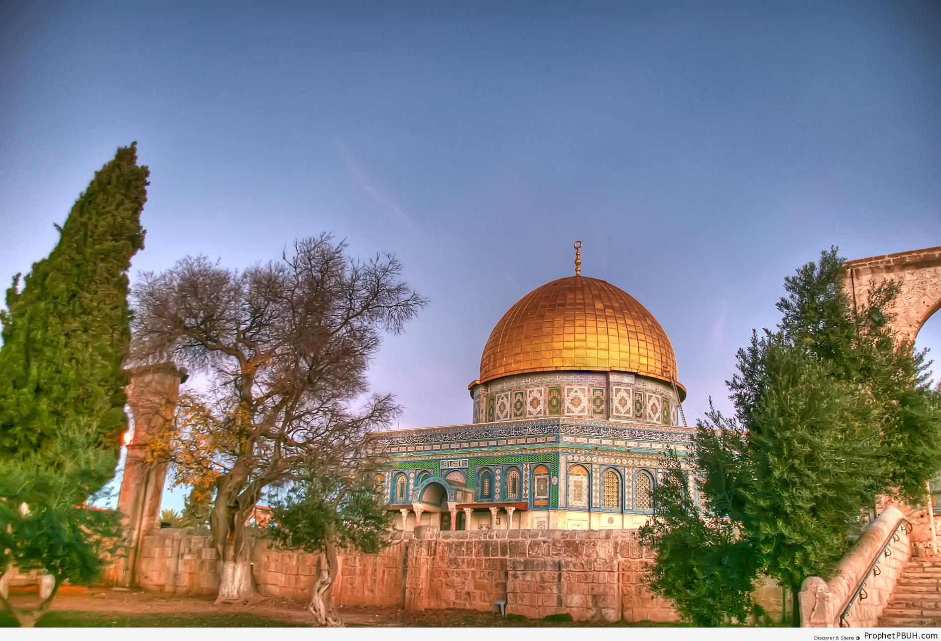 Masjid Qubbat as-Sakhrah (Dome of the Rock Mosque) From Behind Trees at Dawn - Al-Quds (Jerusalem), Palestine -Picture