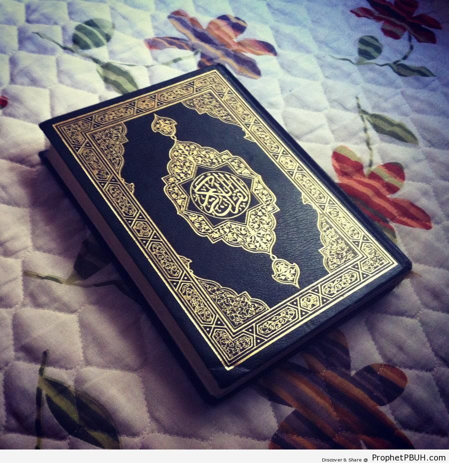 Mushaf - Mushaf Photos (Books of Quran) 