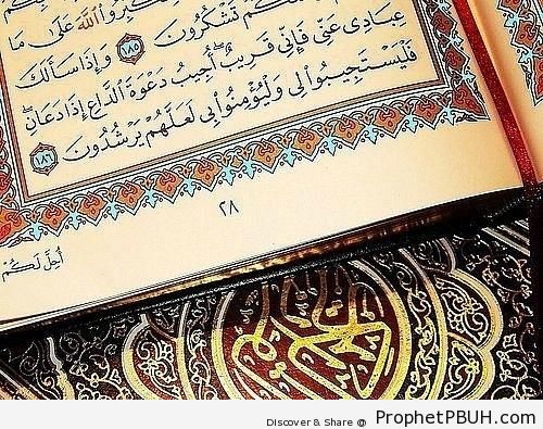 Mushaf Photo Showing Quran 2-186 - Mushaf Photos (Books of Quran)