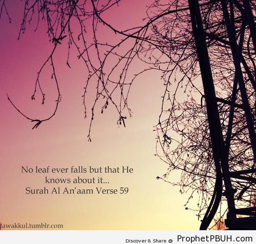 No Leaf (Surat al-An-am; Quran 6-59) - Islamic Quotes About Allah's Omniscience (God's Knowledge and Awareness of Everything)