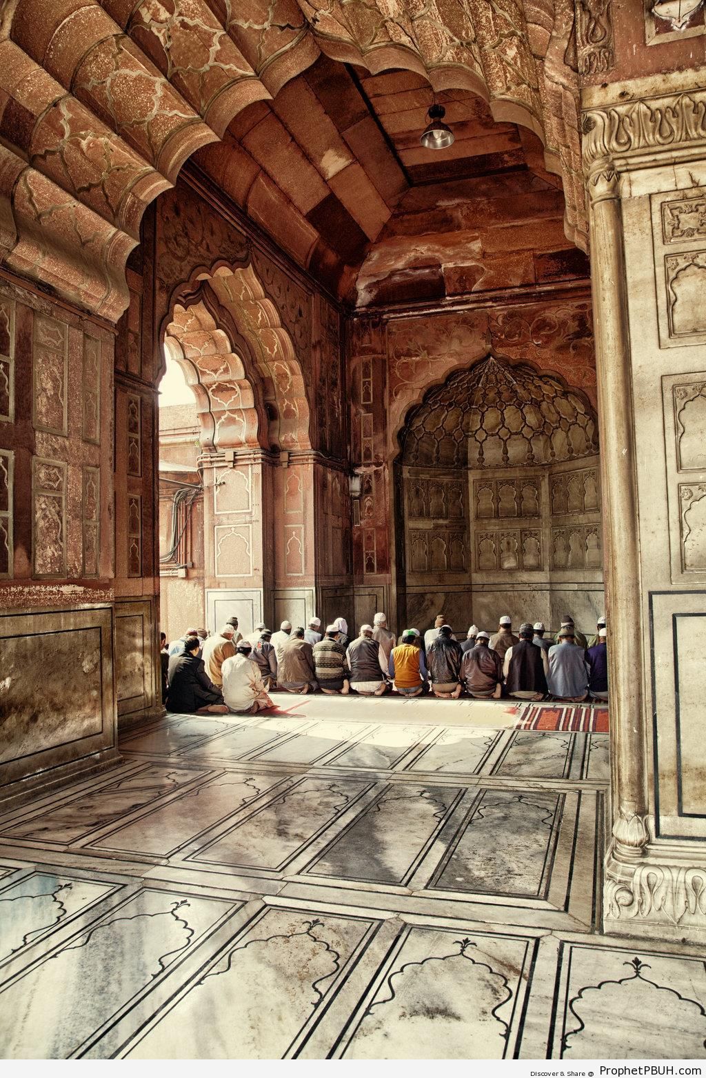 Noon Prayer at Jama Masjid (Old Delhi, India) - Delhi, India -Picture
