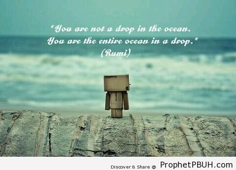 Ocean in a Drop - Islamic Quotes