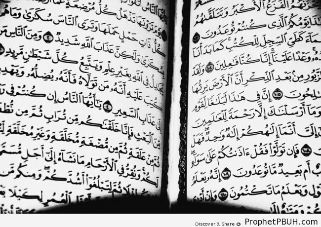 Open Book of Quran on Surat al-Anbya- and Surat al-Haj - Mushaf Photos (Books of Quran)