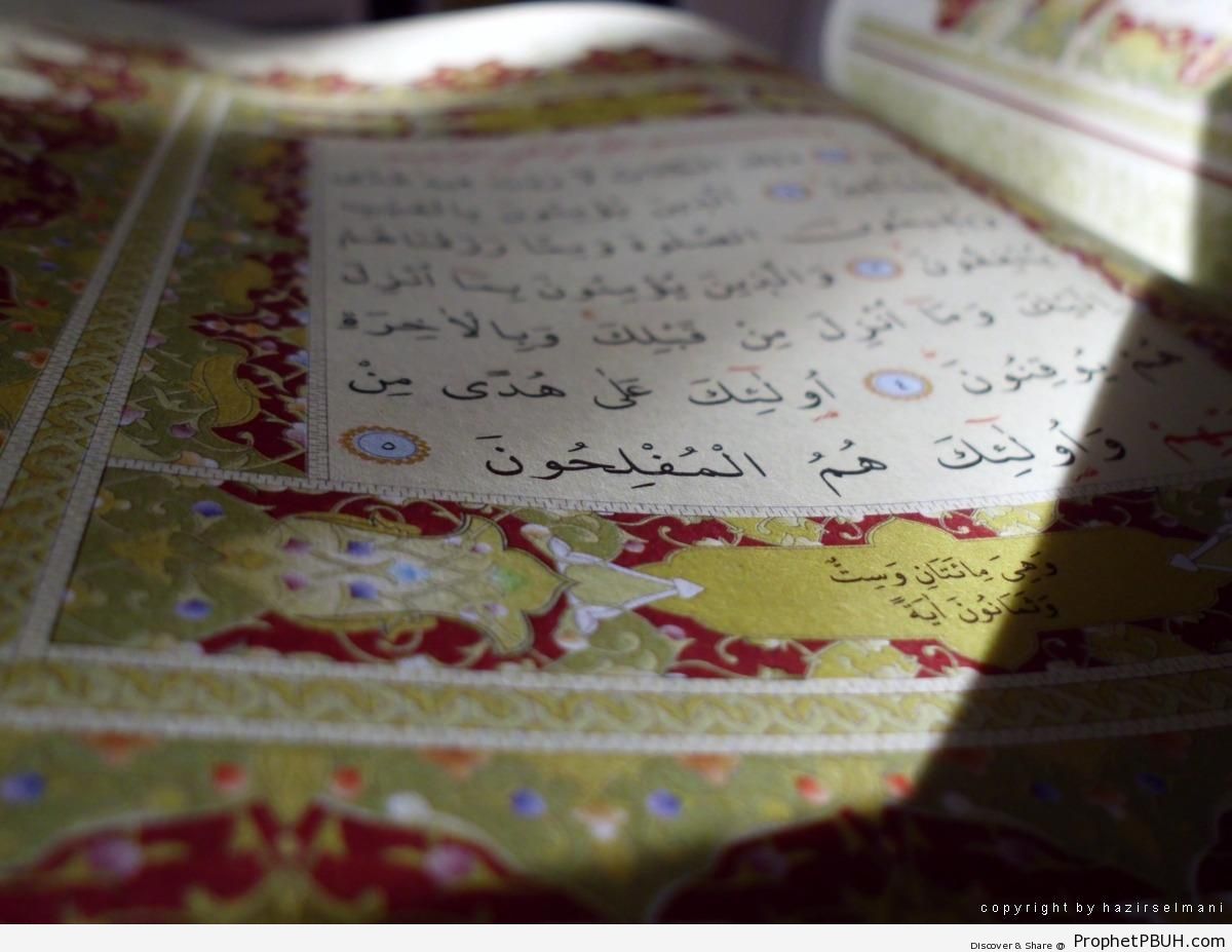 Open Mushaf Showing Surat Luqman - Mushaf Photos (Books of Quran) 