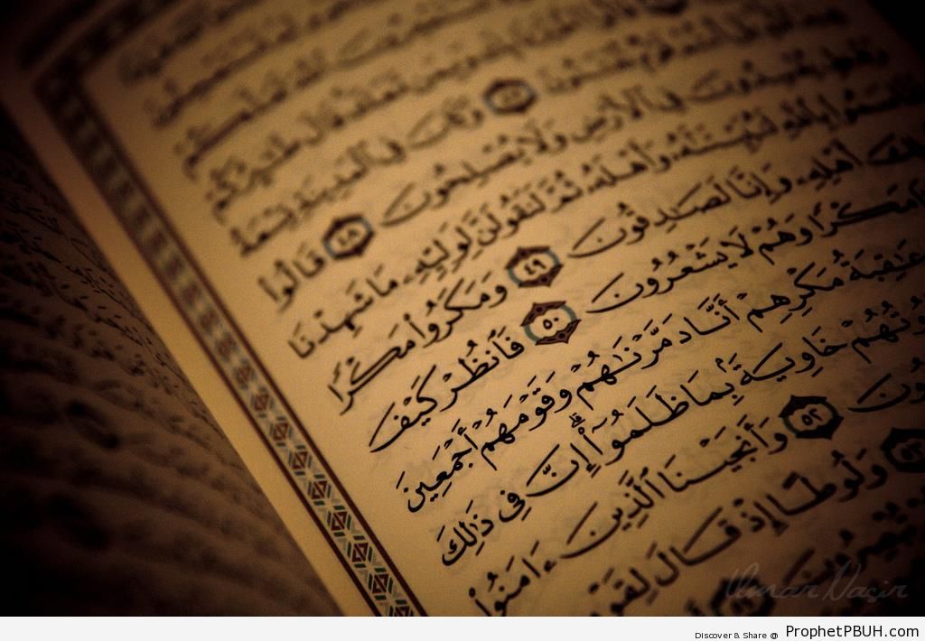Open Mushaf on Surat an-Naml (Quran Chapter 27) - Mushaf Photos (Books of Quran) 