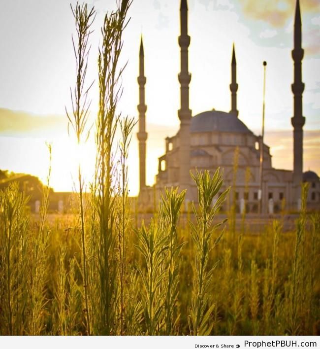 Ottoman Architecture - Islamic Architecture