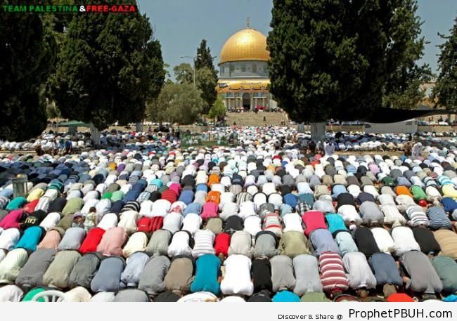 Palestinians Praying on the Third Friday on Ramadan 2012 - Al-Quds (Jerusalem), Palestine
