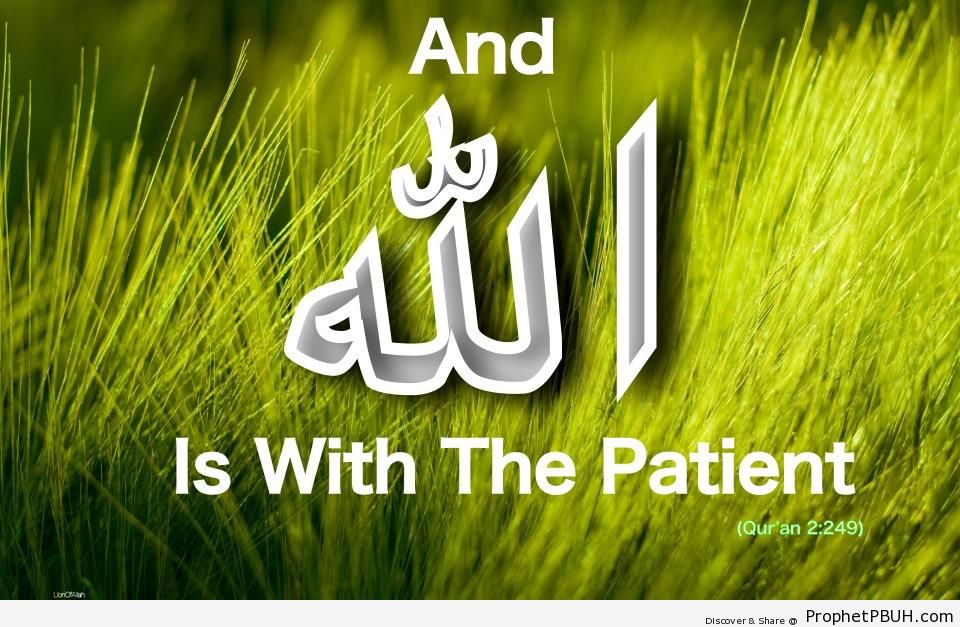 Patience (Quran 2-249 - Surat al-Baqarah) - Islamic Quotes 
