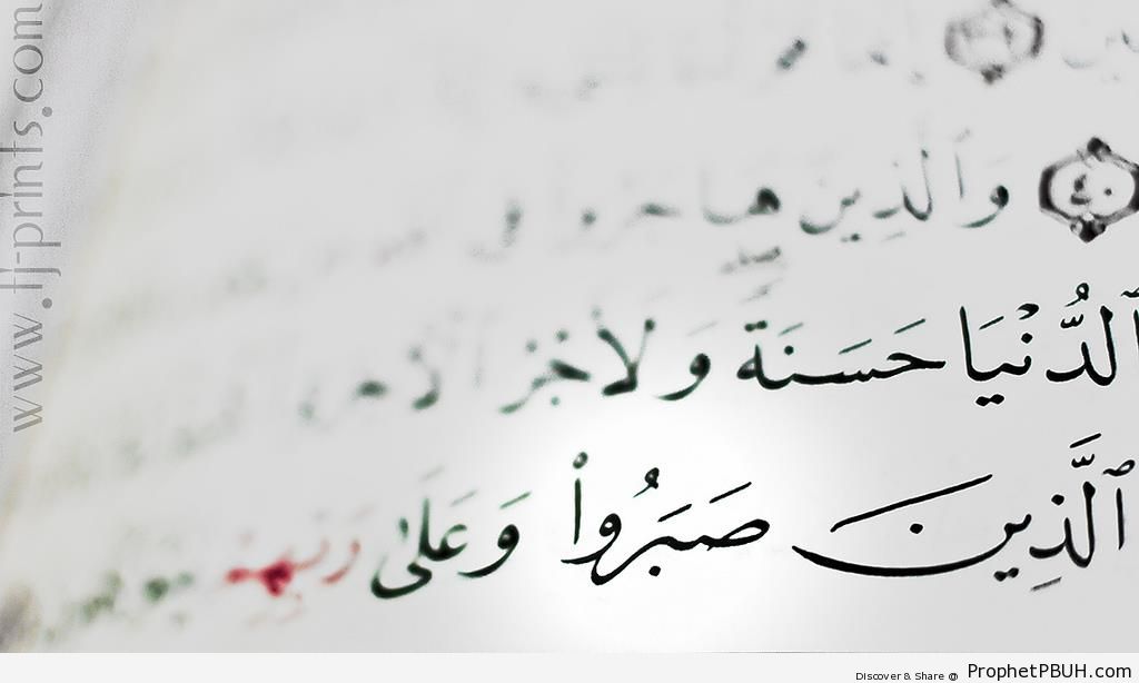Patience (Shot of Page from Surat an-Nahl) - Quran 16-42 