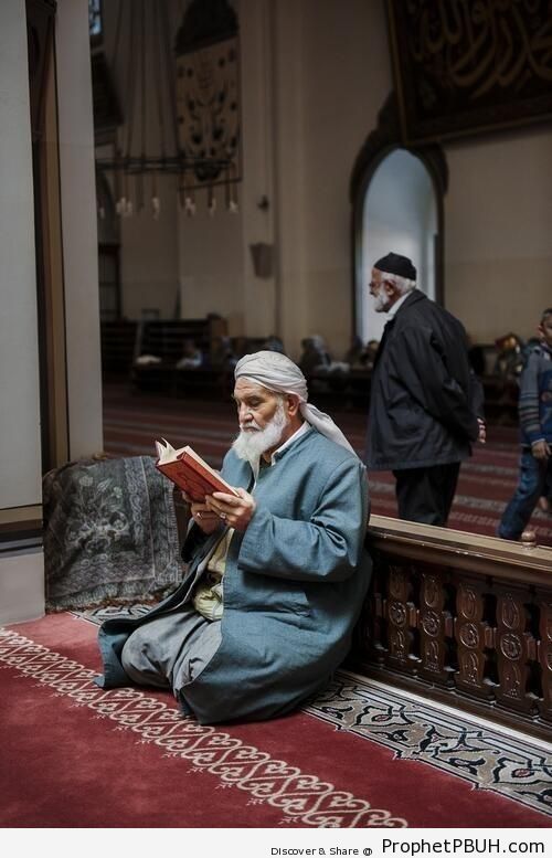 Peaceful Moment with the Quran at the Mosque - Photos