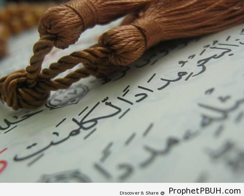 Photo of Page from Surat al-Kahf - Mushaf Photos (Books of Quran)