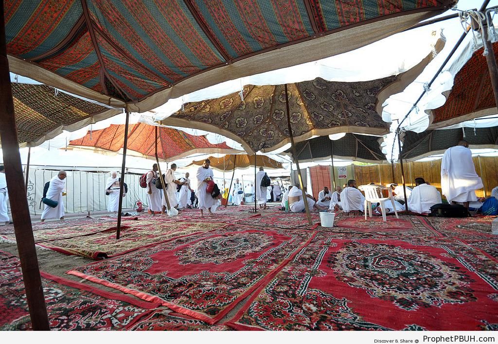 Photo of Tent at Mount Arafat - Photos of Haj Proceedings -