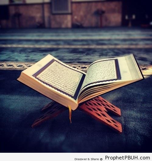 Photo of an Open Mushaf - Mushaf Photos (Books of Quran)