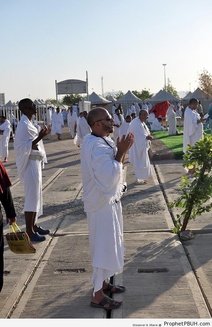 Pilgrims Praying at Mount Arafat - Photos of Haj Proceedings -