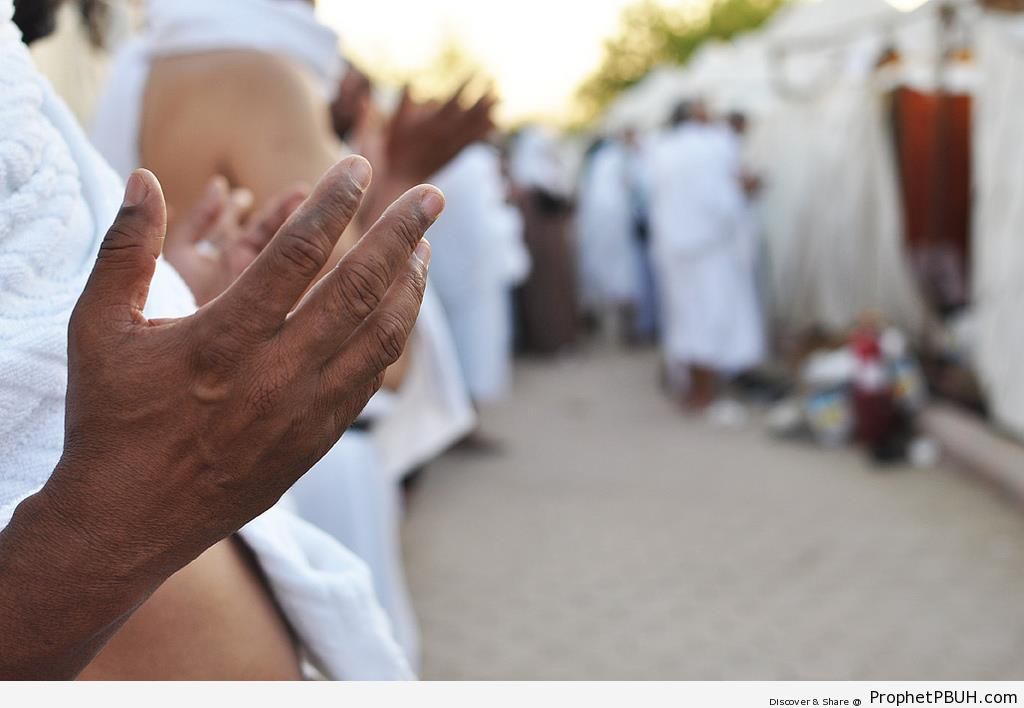 Pilgrims Praying at Mount Arafat - Photos of Haj Proceedings -005