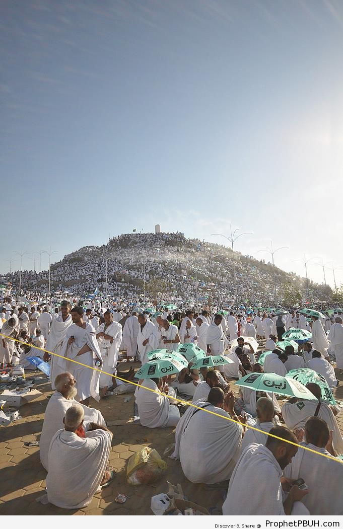 Pilgrims at Mount Arafat (Mount of Mercy-Jabal ar-Rahmah) - 