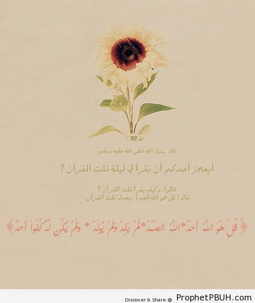 Prophet Muhammad ï·º on the Importance of Surat al-Ikhlas (Quran 112) - Drawings of Flowers